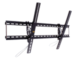 Adjustable LCD Mount